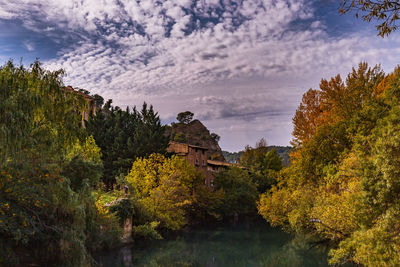 Trees by lake against sky during autumn