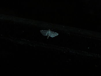 High angle view of water in the dark