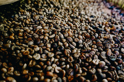 Full frame shot of coffee beans