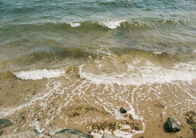 Scenic view of sea