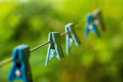 Close-up of clothespins hanging on clothesline