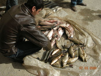 High angle view of man buying fish at market