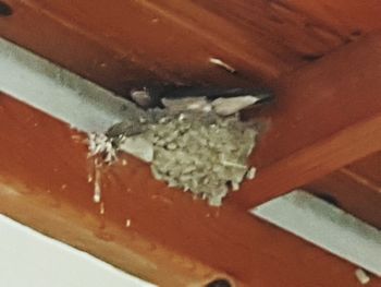 High angle view of ice cream in container