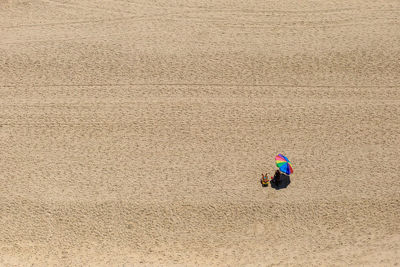 High angle view of people sitting on sand