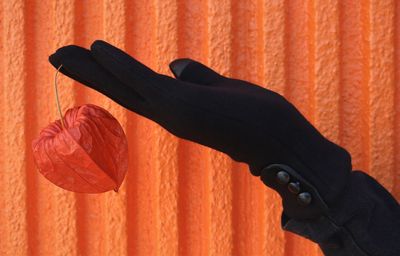 Close-up of person hand against orange wall