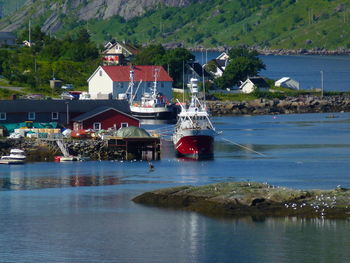 Leknes, lofoten scenic view of fjord