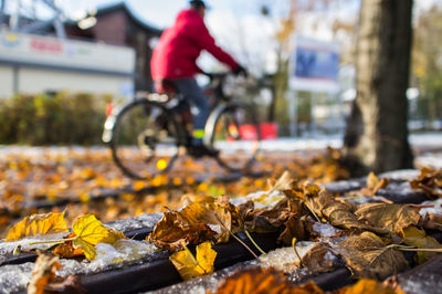 Close-up of autumn leaves on bicycle