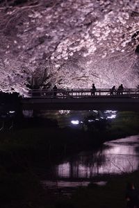 Bridge over river against sky at night