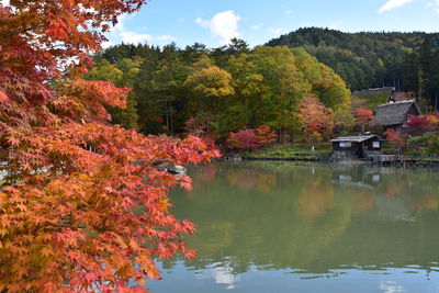 Trees by lake against sky during autumn