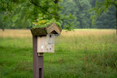 A tree swallow birdhouse on a post with flowers on the roof.