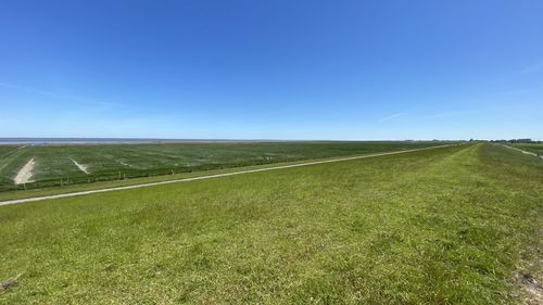 Scenic view of field against clear blue sky at the nordsee