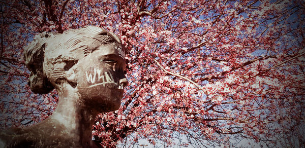 Low angle view of statue on cherry blossom