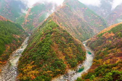 High angle view of mountain landscape with fall colors