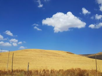 Scenic view of field against blue sky