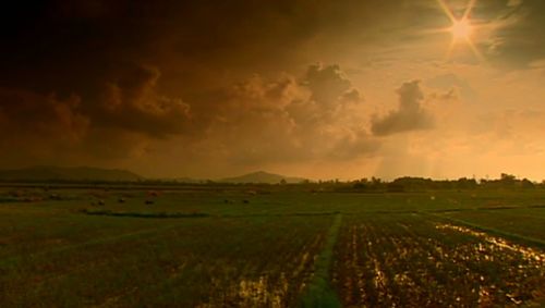 Scenic view of field against cloudy sky