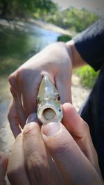 Cropped image of hand holding cigarette