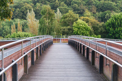 View of footbridge in forest