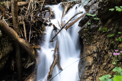 Close-up of waterfall in forest