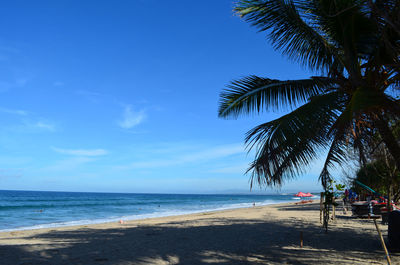 Palm trees on beach against sky