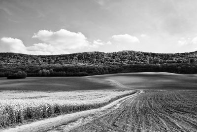 Scenic view of landscape against sky