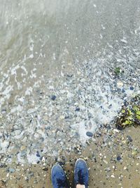 Low section of person standing in water