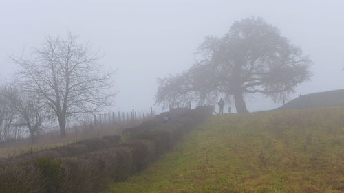 Scenic view of landscape