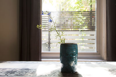 Potted plant on window sill at home