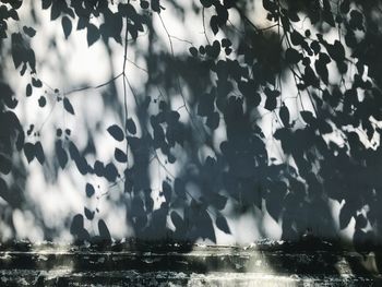 Low angle view of lake against sky