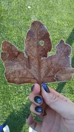 Close-up of hand holding grass on field