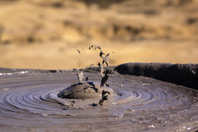 Close-up of splashing water