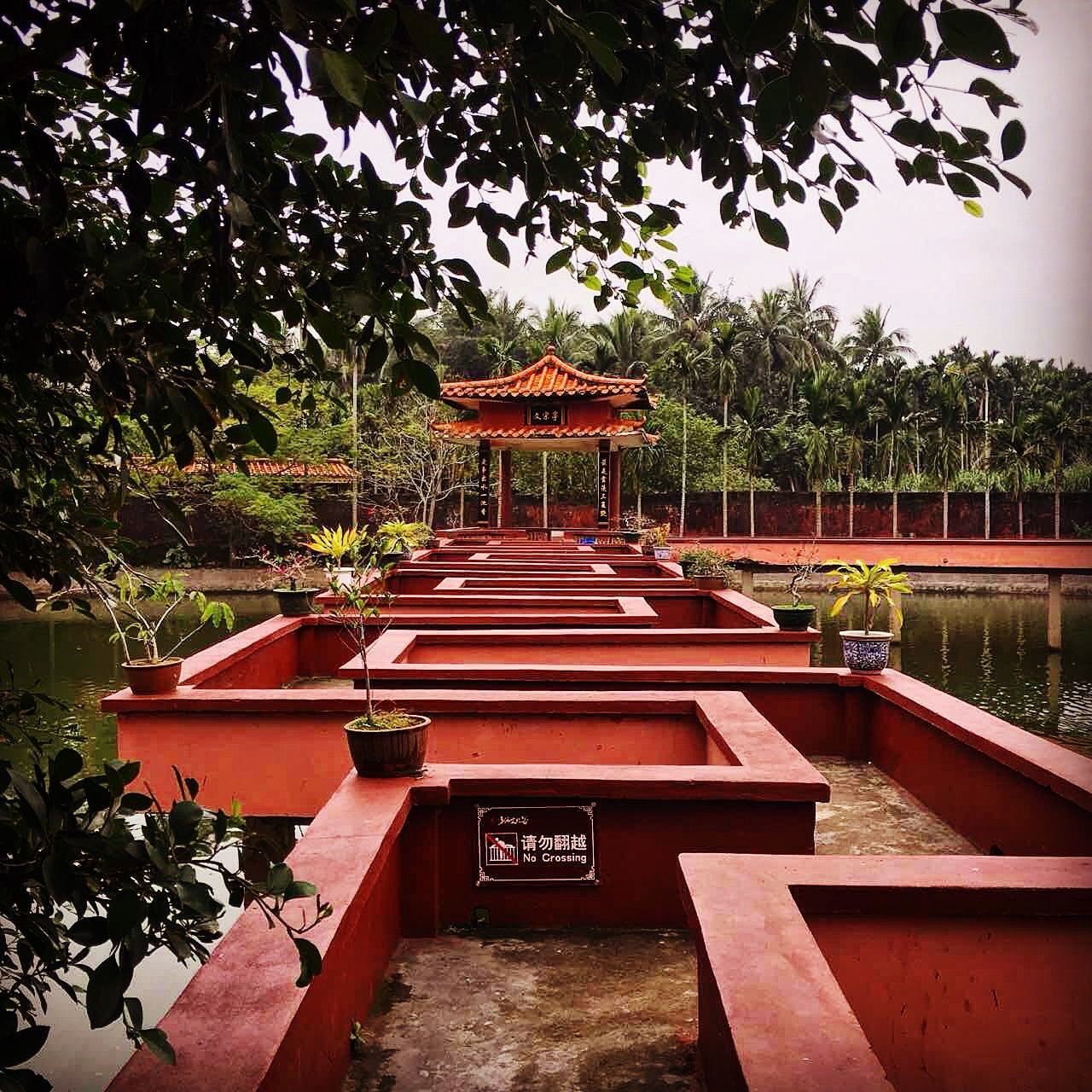 tree, water, tranquility, built structure, wood - material, growth, lake, nature, tranquil scene, park - man made space, bench, railing, footbridge, outdoors, architecture, green color, day, river, forest, scenics