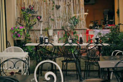 View of potted plants on sidewalk cafe