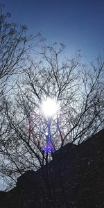 Low angle view of bare tree against clear sky