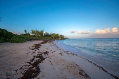 Scenic view of beach against blue sky