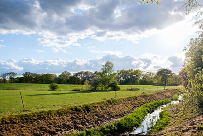Scenic view of agricultural field against sky