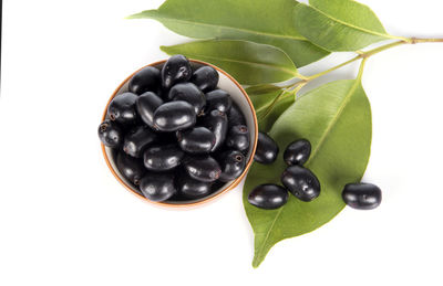 Close-up of black fruit against white background