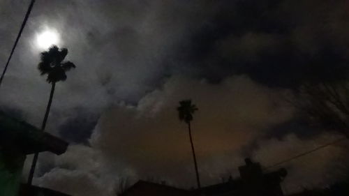 Low angle view of trees against cloudy sky