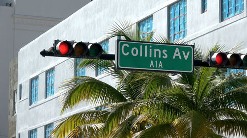 Low angle view of palm trees against building