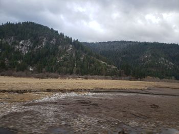 Scenic view of landscape against sky