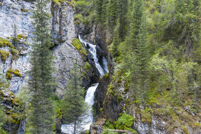 Scenic view of waterfall in forest