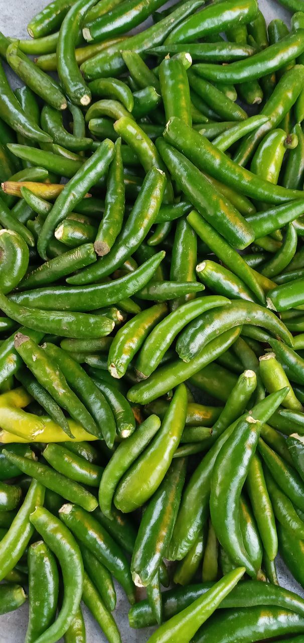 FULL FRAME OF GREEN CHILI PEPPERS