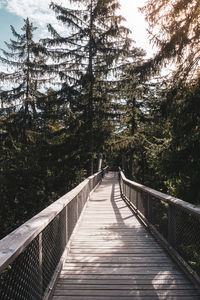 View of footbridge in forest