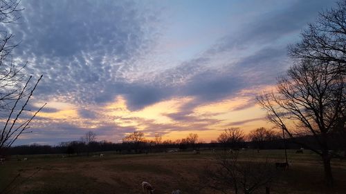 Scenic view of dramatic sky over field