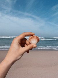 Cropped hand of woman holding seashell at beach against sky