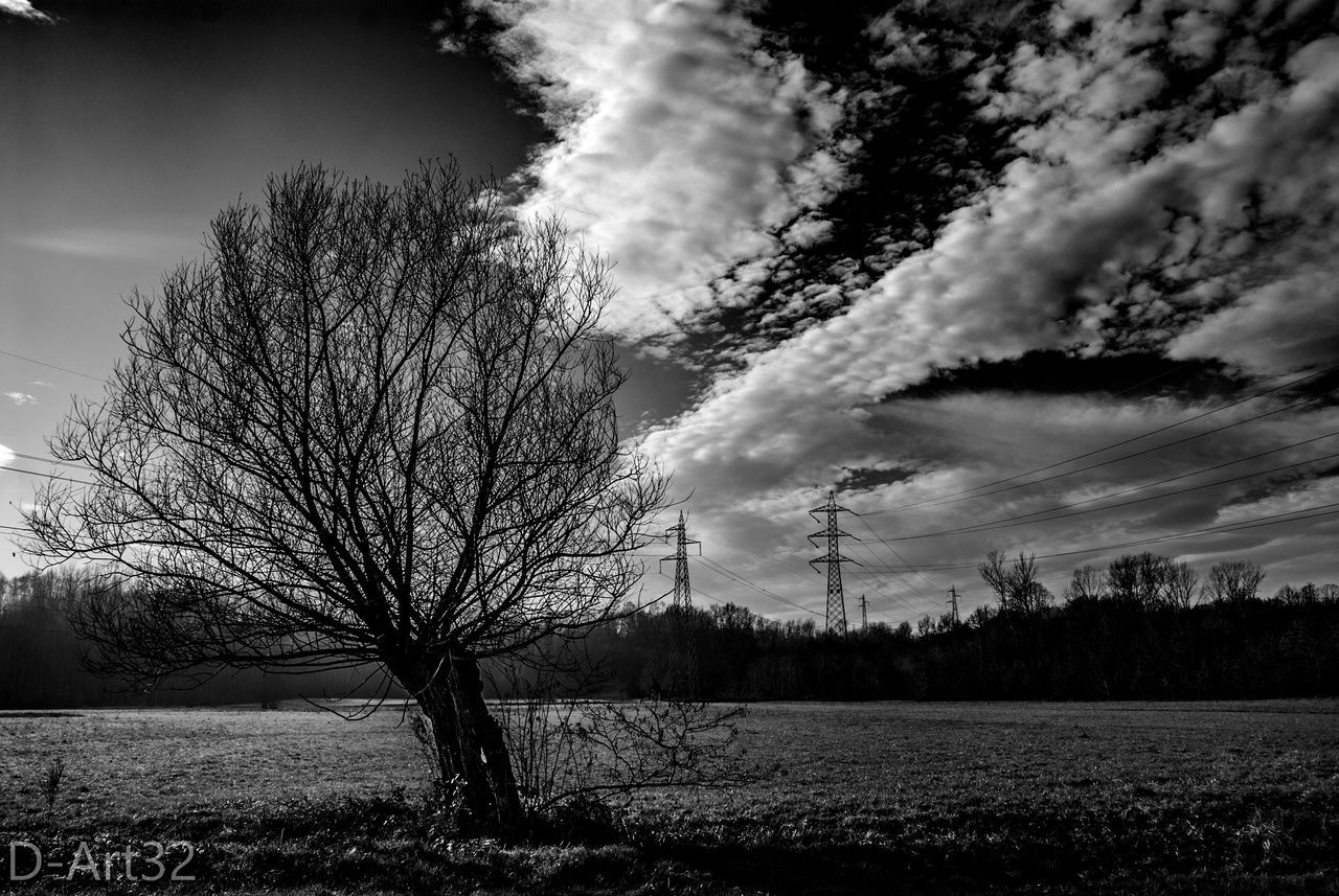 SILHOUETTE BARE TREES ON FIELD AGAINST CLOUDS