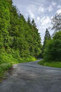 Road amidst trees in forest against sky