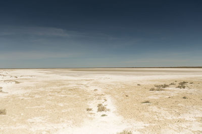 Scenic view of desert against sky