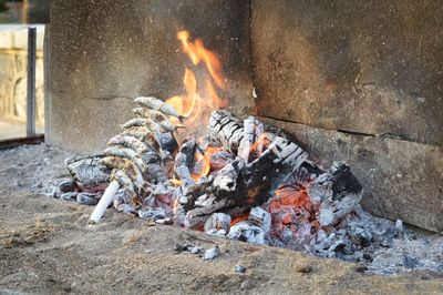 Bonfire on log