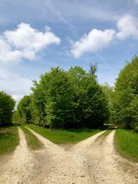 Road by trees against sky