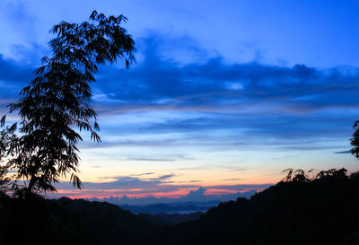 Low angle view of silhouette tree against sky